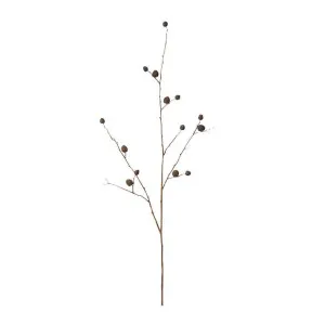 Berry Pod Dried Look Branch - 16 x 8 x 85cm by James Lane, a Plants for sale on Style Sourcebook