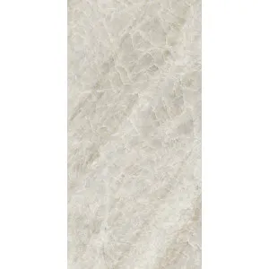 Oyster Taj Mahal Grey HiLite Matt Tile by Beaumont Tiles, a Porcelain Tiles for sale on Style Sourcebook