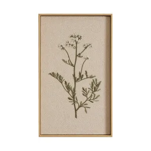 Muse Connie Framed Embroidery Wall Art Flower Stem by Muse, a Wall Hangings & Decor for sale on Style Sourcebook