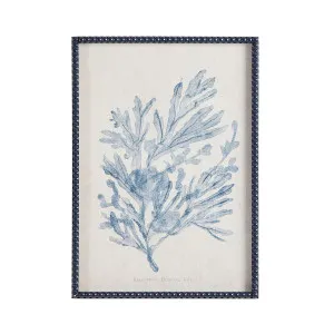 Muse Hastings Framed Printed Wall Art Coral I by Muse, a Wall Hangings & Decor for sale on Style Sourcebook