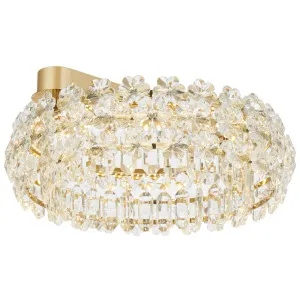 Telbix Landis Medium LED Ceiling Light with Floral Crystal Detailing - Gold by Telbix, a Lighting for sale on Style Sourcebook
