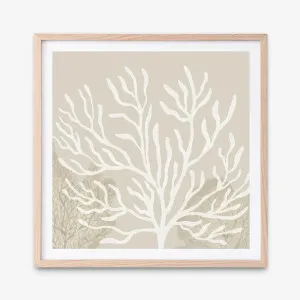 Coastal Reef VI (Square) Art Print by The Print Emporium, a Prints for sale on Style Sourcebook