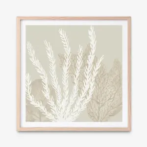 Coastal Reef V (Square) Art Print by The Print Emporium, a Prints for sale on Style Sourcebook