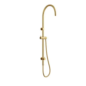 ELEMENTS Gooseneck Shower Rail with Universal Water Inlet Brushed Brass by Highgrove Bathrooms, a Showers for sale on Style Sourcebook