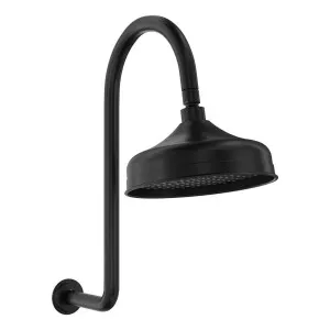 Lillian Wall Arm Shower Set, Matte Black by Fienza, a Shower Heads & Mixers for sale on Style Sourcebook
