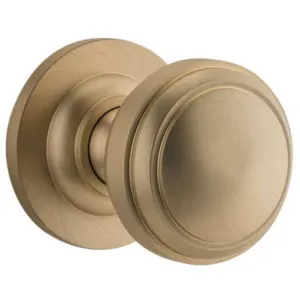 Paddington Knob Round Rose Brushed Brass by Iver, a Door Hardware for sale on Style Sourcebook
