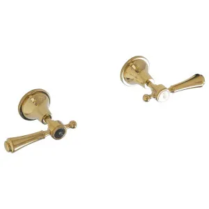 Lillian Lever Wall Stops Gold PVD Metal Handles by Fienza, a Bathroom Taps & Mixers for sale on Style Sourcebook