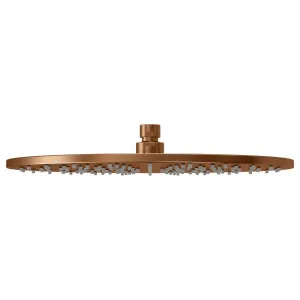 Round Shower Rose, 300mm, Lustre Bronze by Meir, a Shower Heads & Mixers for sale on Style Sourcebook