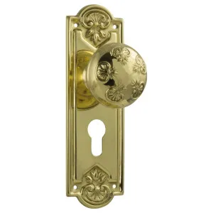 Nouveau Euro Knob Set, Polished Brass by Tradco, a Door Hardware for sale on Style Sourcebook