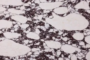 Calacatta Viola? by MinQ ZeroÂ® Mineral Surfaces, a Silica Free Surfaces for sale on Style Sourcebook