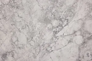 Super white Dolomite by NatrocciaÂ® Natural Stone, a Dolomite for sale on Style Sourcebook