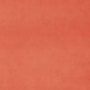 LF3838CFR Omega 120 Coral by Linwood, a Fabrics for sale on Style Sourcebook