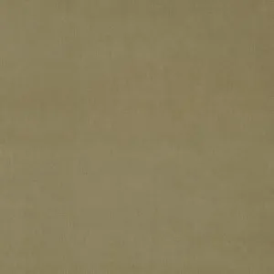 LF3838CFR Omega 169 Sandcastle by Linwood, a Fabrics for sale on Style Sourcebook