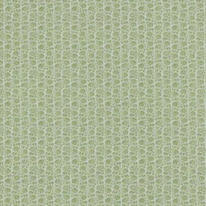 Bea Pistachio by Ashley Wilde, a Fabrics for sale on Style Sourcebook