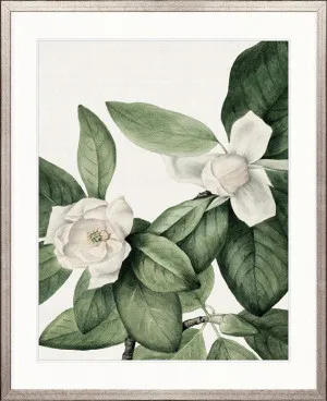 Phillipson Floral VI by Designer Boys, a Premium Art for sale on Style Sourcebook