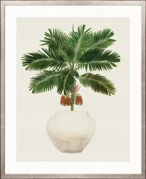 Palm Beauty II by Designer Boys, a Premium Art for sale on Style Sourcebook