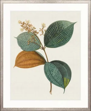 Floral Elegance XI by Designer Boys, a Premium Art for sale on Style Sourcebook