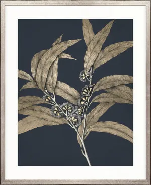 Botanical Etching II by Designer Boys, a Premium Art for sale on Style Sourcebook