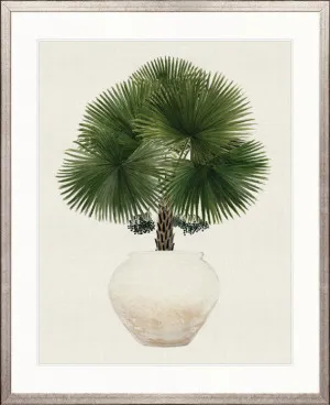 Palm Beauty IV by Designer Boys, a Premium Art for sale on Style Sourcebook
