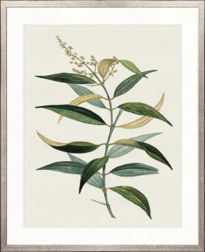 Floral Elegance II by Designer Boys, a Premium Art for sale on Style Sourcebook