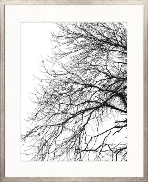 Tree Silhouette III by Designer Boys, a Premium Art for sale on Style Sourcebook