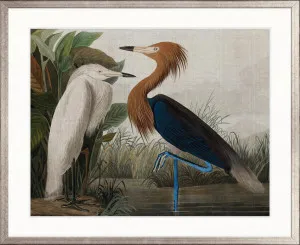 Exquisite Bird VI by Designer Boys, a Premium Art for sale on Style Sourcebook