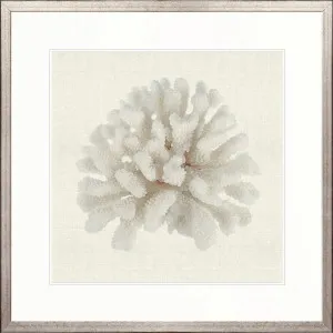 Fanciful Coral I by Designer Boys, a Premium Art for sale on Style Sourcebook