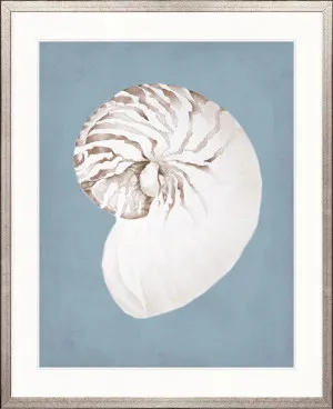 La Mesa Bay Shell VI by Designer Boys, a Premium Art for sale on Style Sourcebook