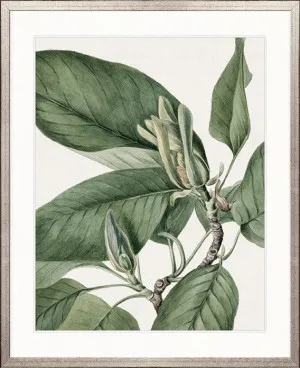 Phillipson Floral VII by Designer Boys, a Premium Art for sale on Style Sourcebook