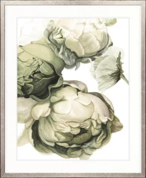 Peonies & Roses VII by Designer Boys, a Premium Art for sale on Style Sourcebook