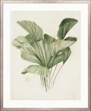 Soft Anaya Palm III by Designer Boys, a Premium Art for sale on Style Sourcebook