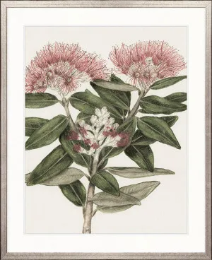 Hasting Native II by Designer Boys, a Premium Art for sale on Style Sourcebook