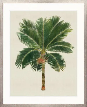 Kebaya Palm V by Designer Boys, a Premium Art for sale on Style Sourcebook