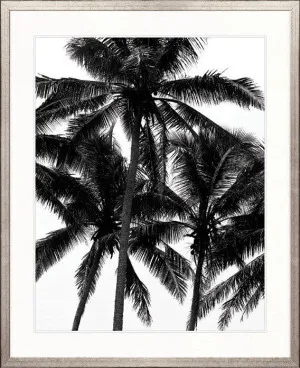 Palm Silhouette I by Designer Boys, a Premium Art for sale on Style Sourcebook