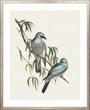 Shildon Birds V by Designer Boys, a Premium Art for sale on Style Sourcebook