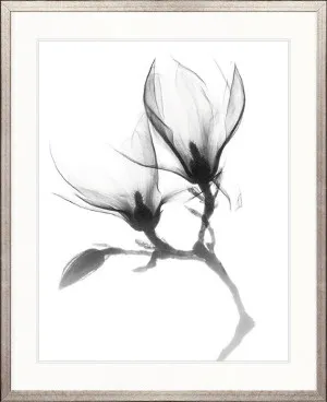 Mercer Black & White XXV by Designer Boys, a Premium Art for sale on Style Sourcebook