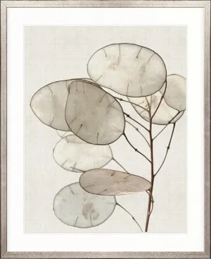 Kivu Seedpods IV by Designer Boys, a Premium Art for sale on Style Sourcebook