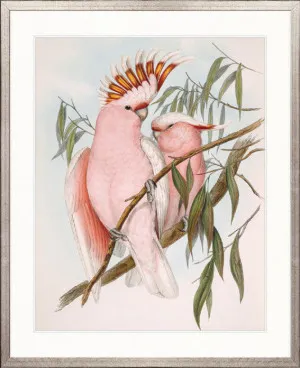 Splendid Bird II by Designer Boys, a Premium Art for sale on Style Sourcebook