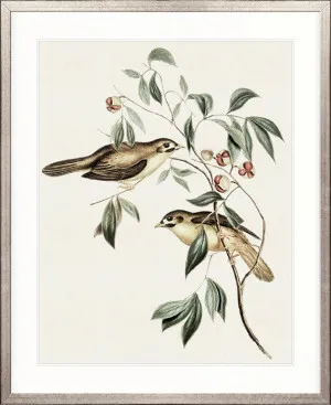 Shildon Birds IV by Designer Boys, a Premium Art for sale on Style Sourcebook