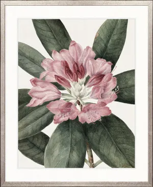 Phillipson Floral I by Designer Boys, a Premium Art for sale on Style Sourcebook