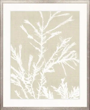 Seaweed Harmony III by Designer Boys, a Premium Art for sale on Style Sourcebook