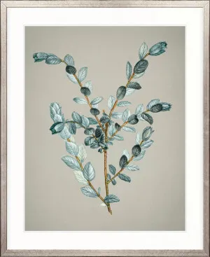 Kettering Foliage III by Designer Boys, a Premium Art for sale on Style Sourcebook