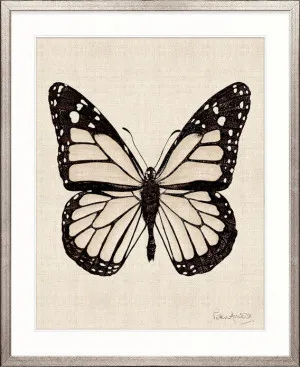 Fanciful Butterfly VIII by Designer Boys, a Premium Art for sale on Style Sourcebook