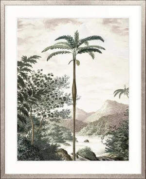 Vintage Palm Study II by Designer Boys, a Premium Art for sale on Style Sourcebook