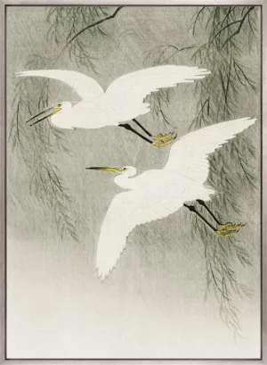 Naoko Bird V (Canvas) by Designer Boys, a Premium Art for sale on Style Sourcebook