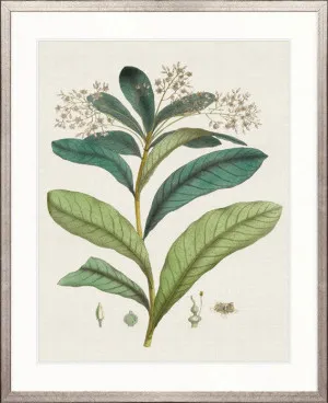 Exotic Garden IV by Designer Boys, a Premium Art for sale on Style Sourcebook