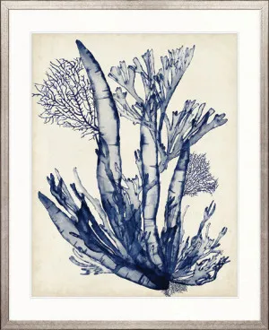 Seaweed Collage IV (Indigo) by Designer Boys, a Premium Art for sale on Style Sourcebook