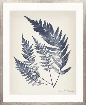 Nature Print VI by Designer Boys, a Premium Art for sale on Style Sourcebook