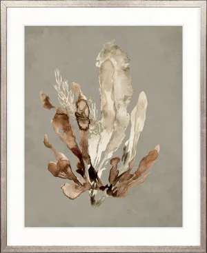 Margate Coral VI by Designer Boys, a Premium Art for sale on Style Sourcebook