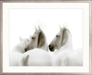 Les Chevaux II by Designer Boys, a Premium Art for sale on Style Sourcebook